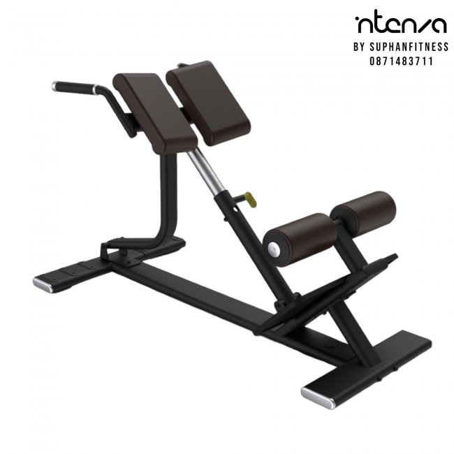 Back Extension Bench SBR-04