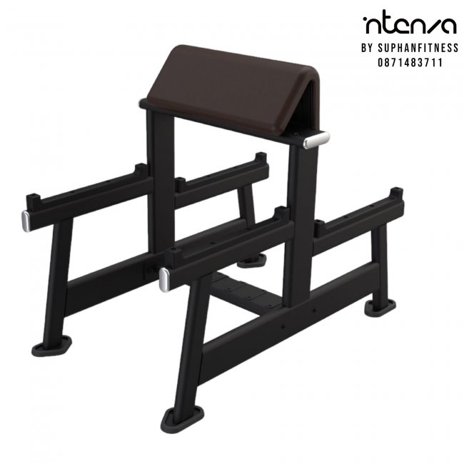 Arm Curl Bench SBR-05