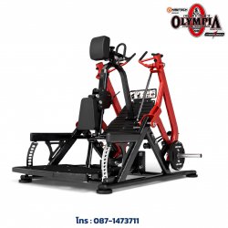 Torture Standing & Seated Row Combo (New)